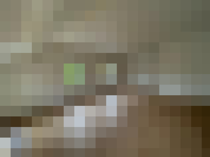  / #5