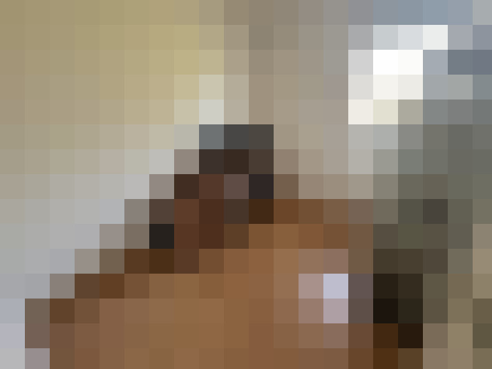  / #15