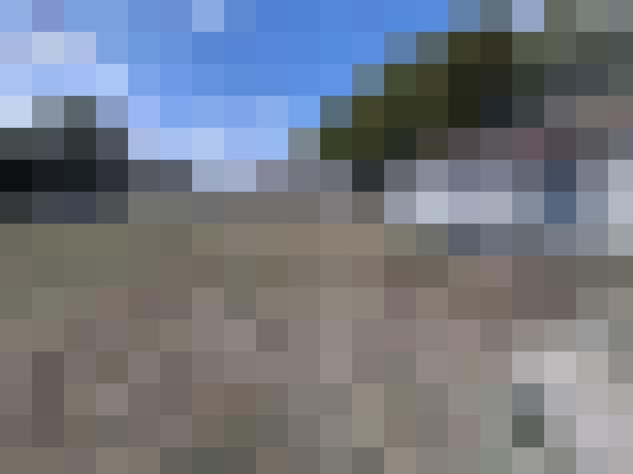  / #15