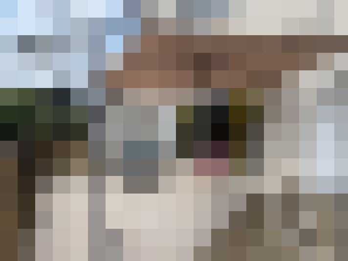  / #17