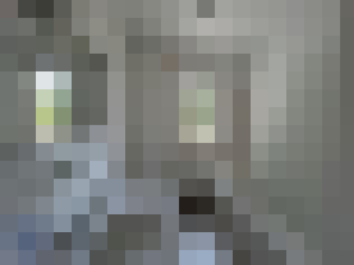  / #16