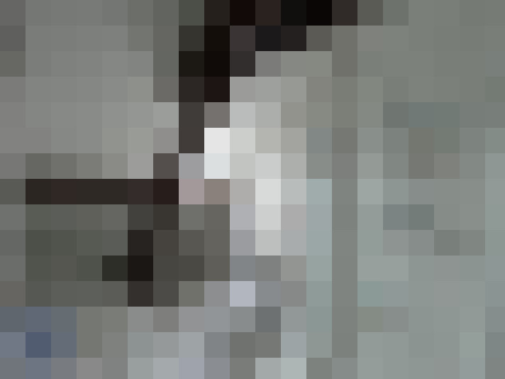 / #15