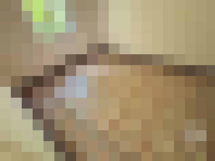  / #6