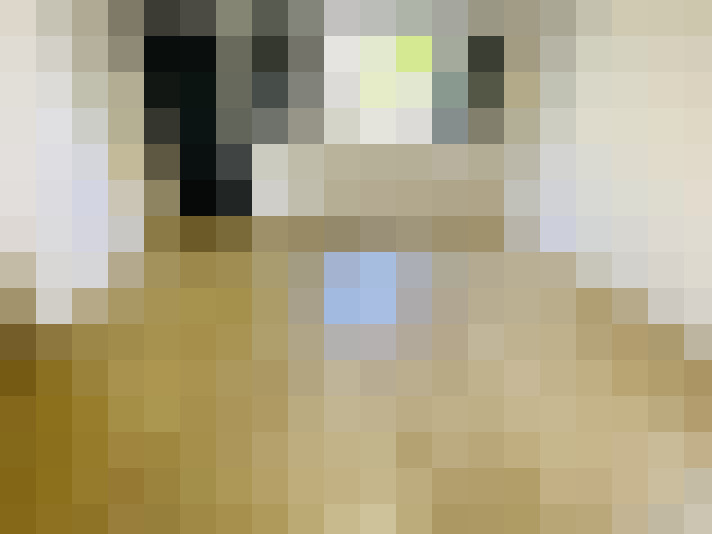  / #15
