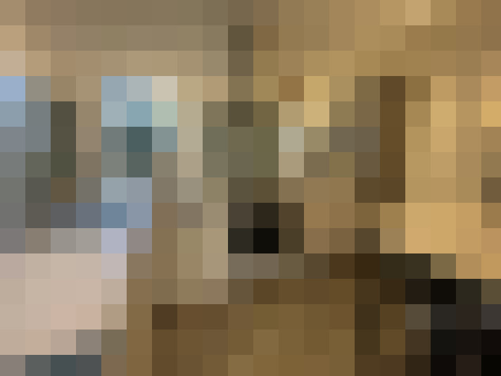  / #23