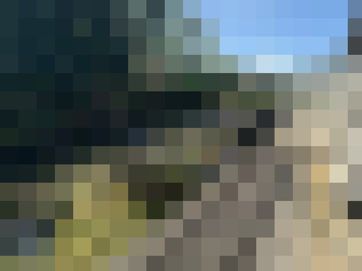  / #7
