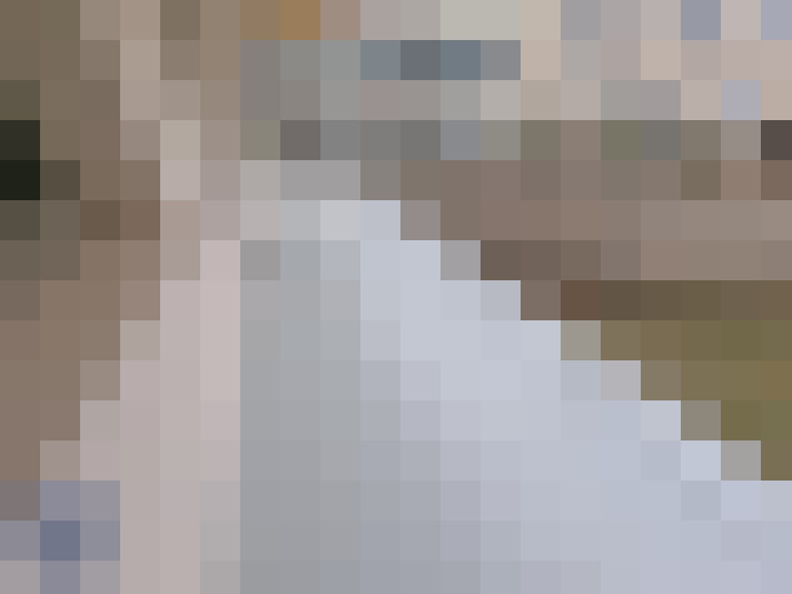  / #15