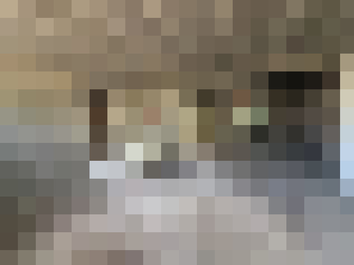  / #13