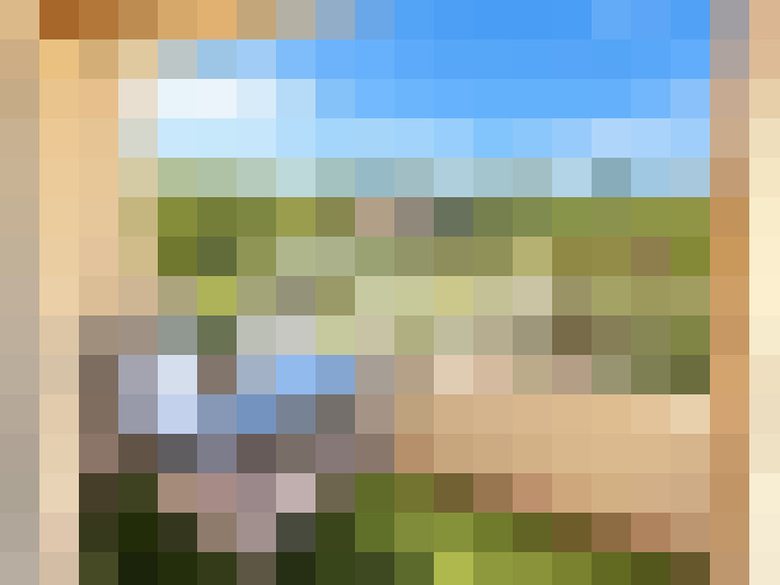  / #7