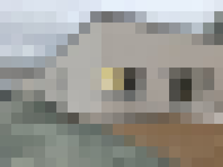  / #11