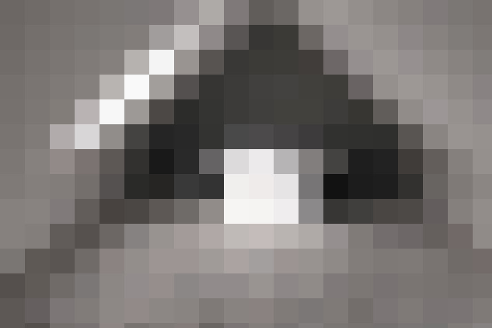  / #8
