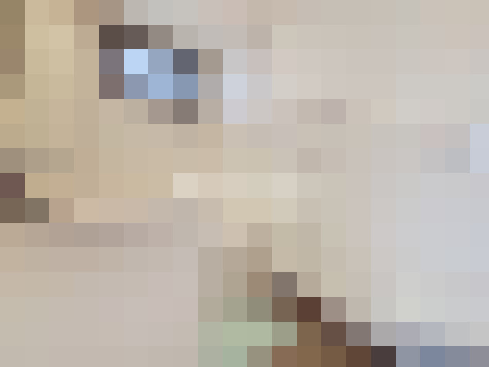  / #11
