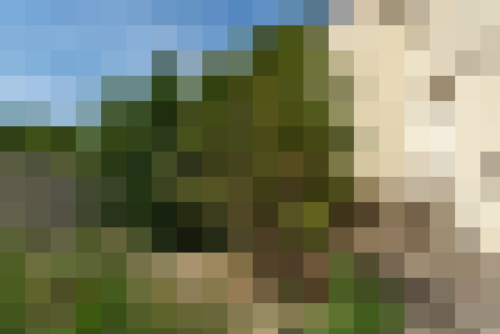  / #17