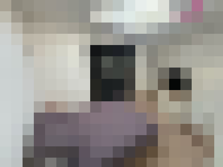  / #13