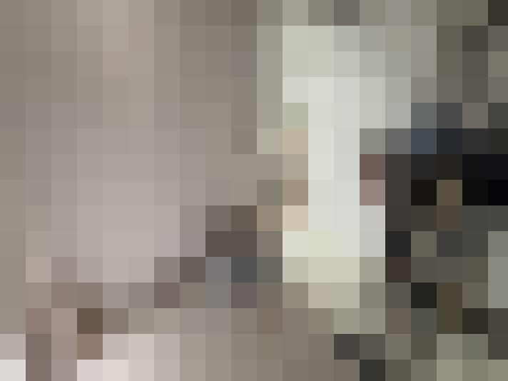  / #14