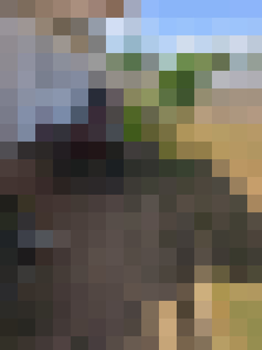  / #18
