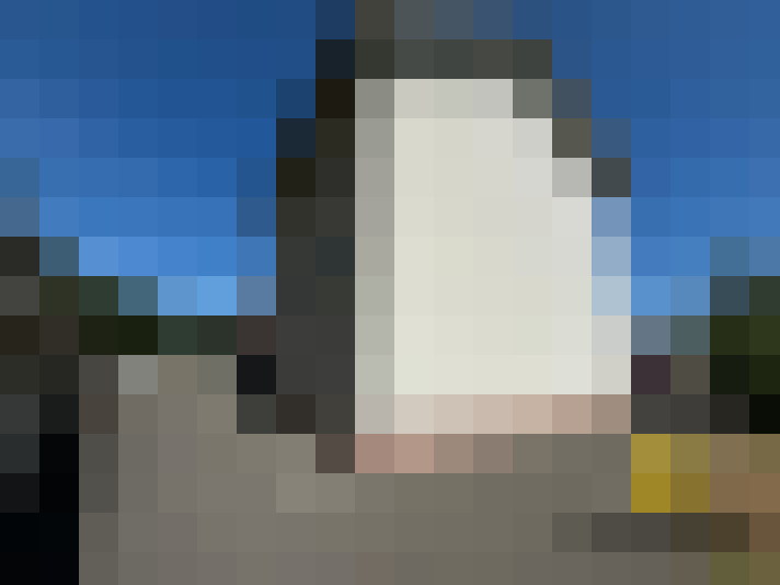  / #11