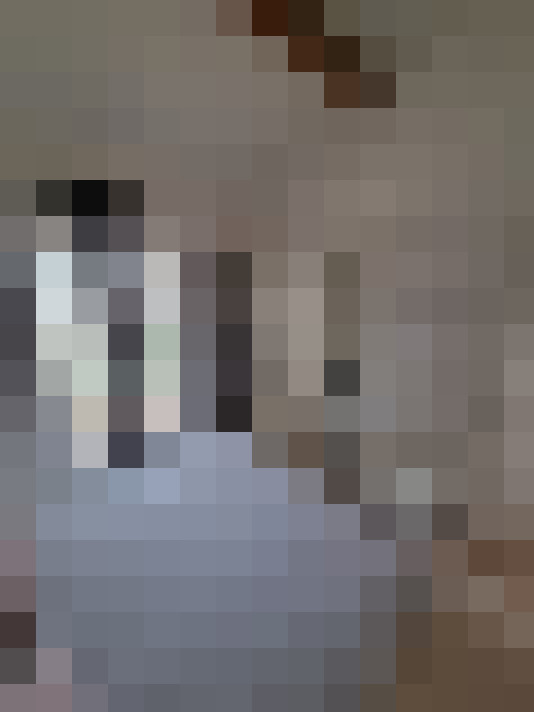  / #22