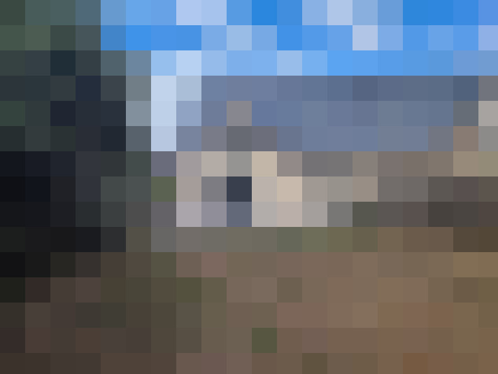  / #14