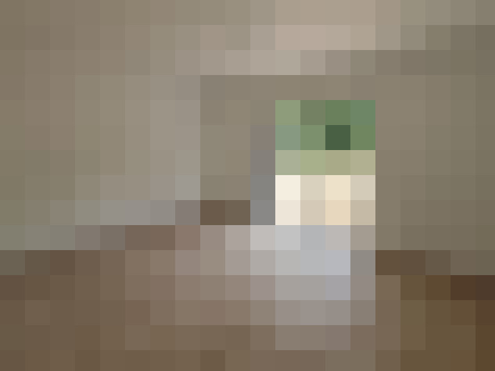  / #7