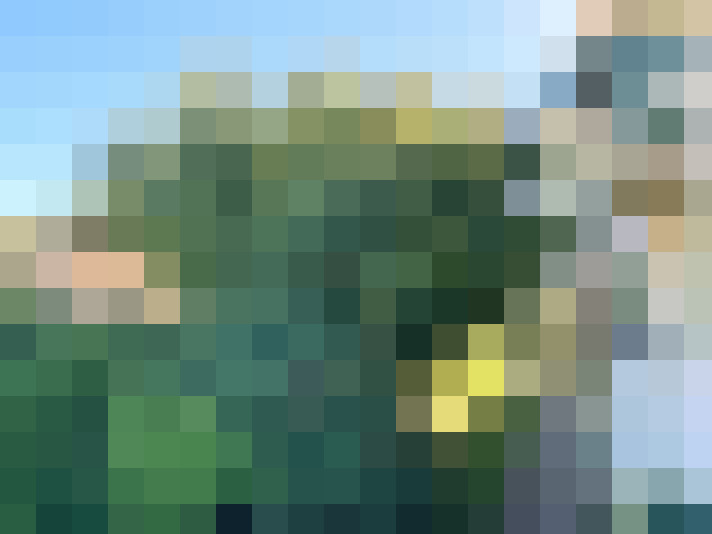  / #7