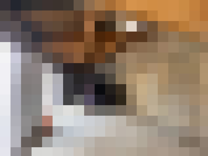  / #12