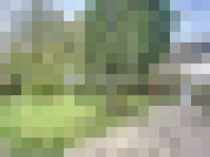  / #15