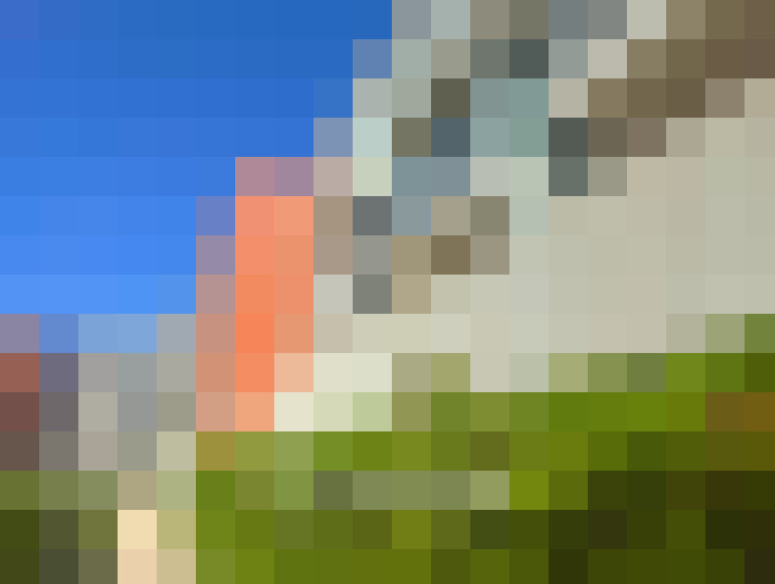 / #7