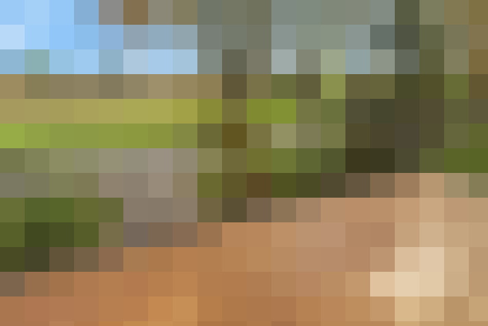  / #7