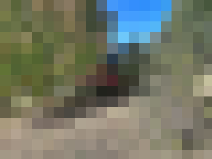  / #17