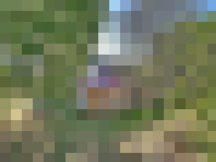  / #21