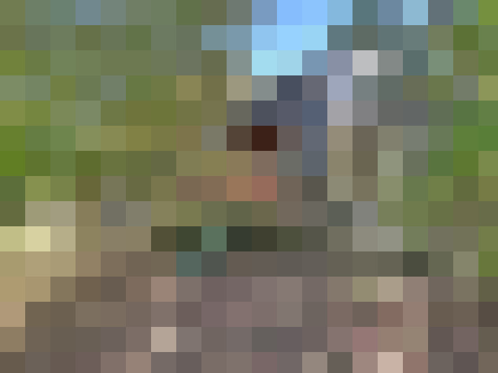  / #19