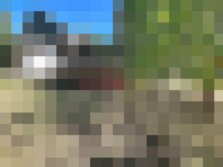  / #20