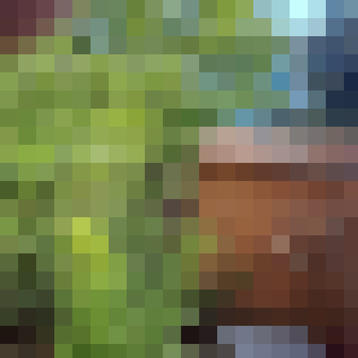  / #8