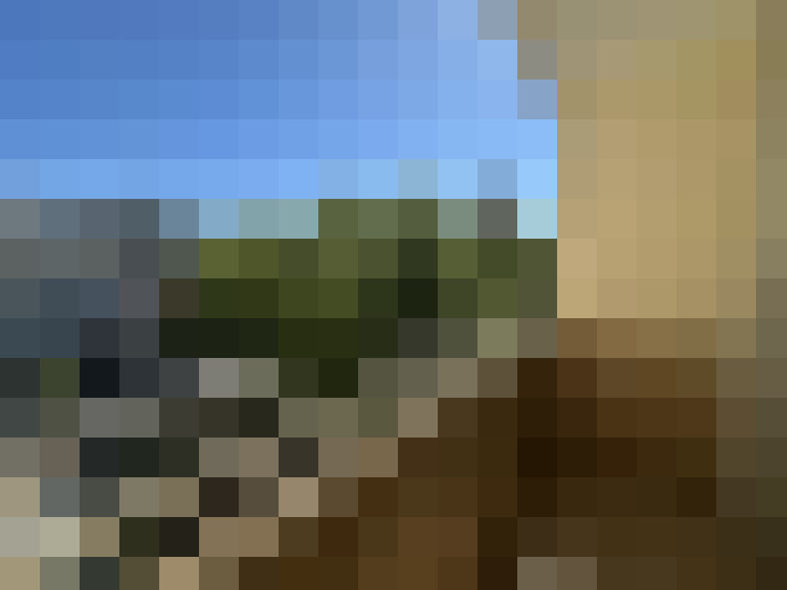  / #9