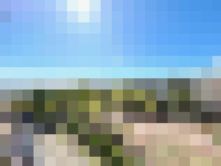  / #7