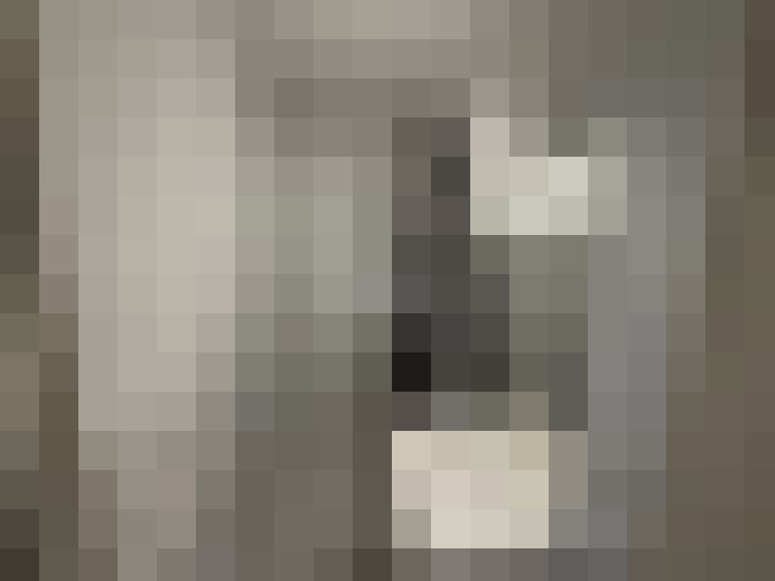  / #19