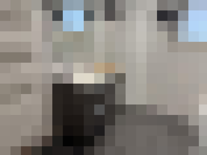  / #14