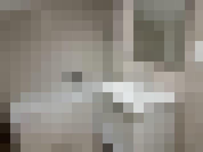  / #21