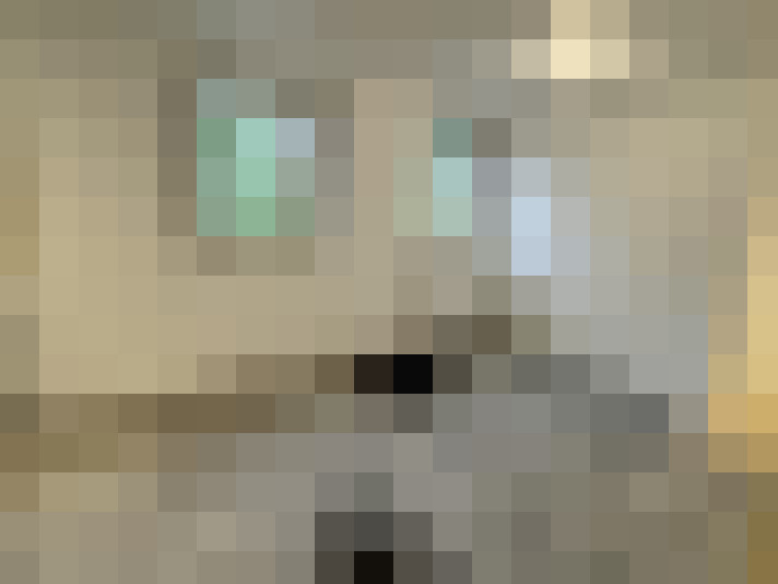  / #9