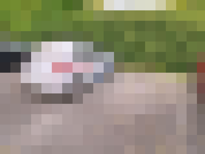  / #9