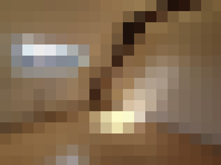  / #8