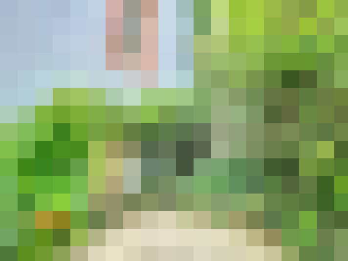  / #16