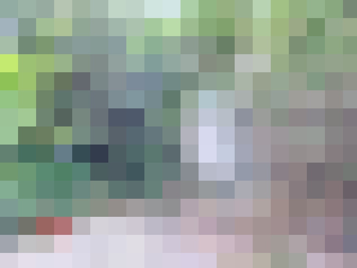  / #15