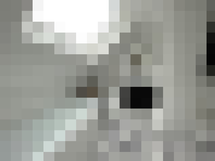  / #7
