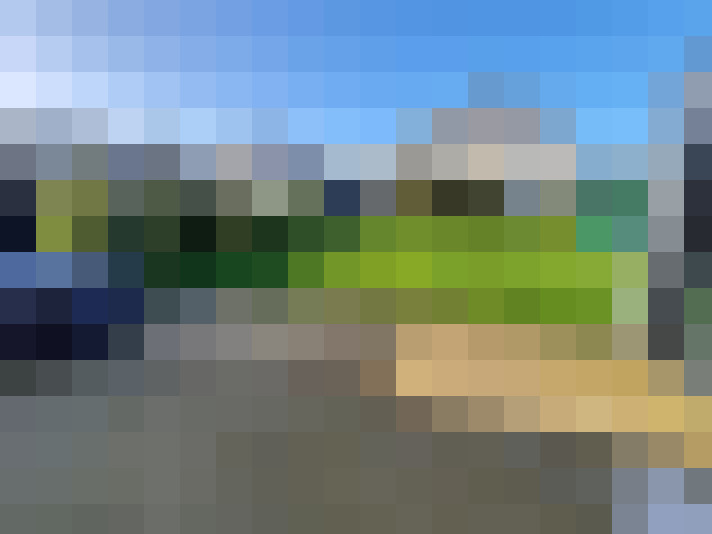  / #14