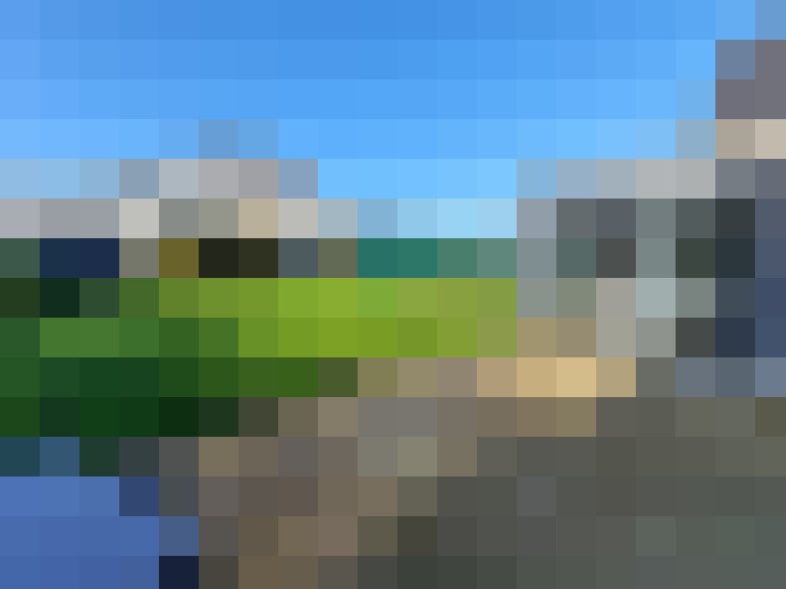  / #12