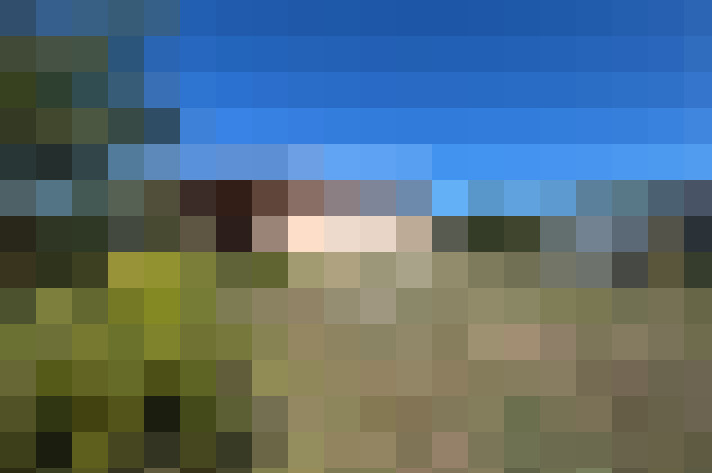  / #15
