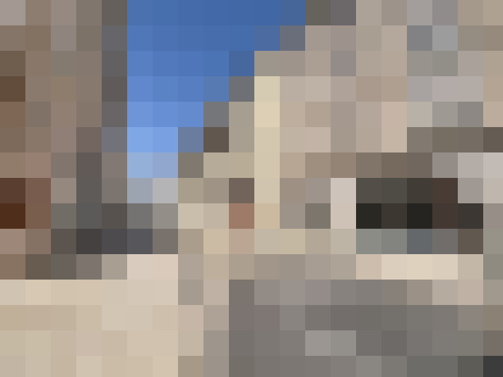  / #13