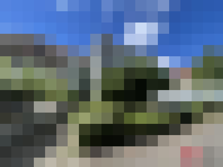  / #13